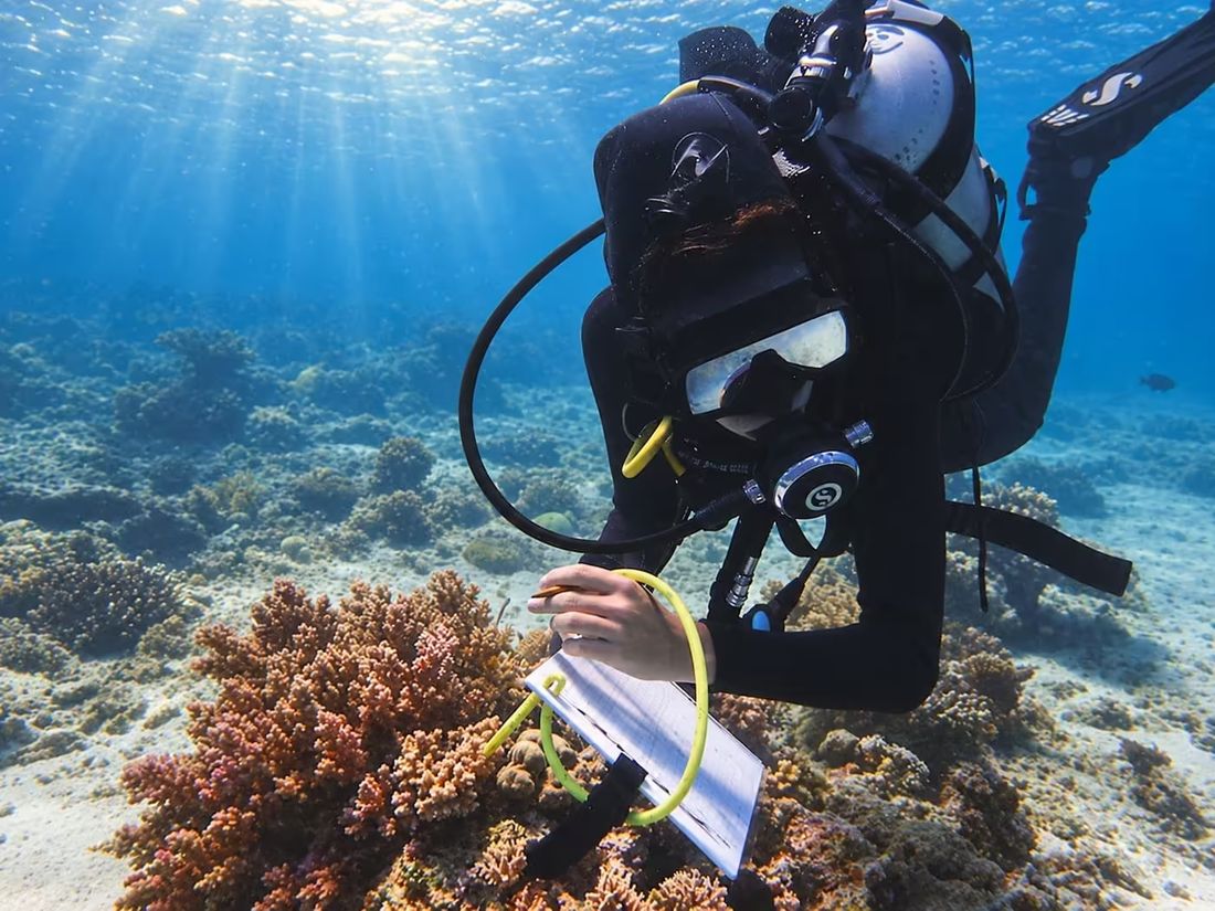 Scientific diver recording survey data on an underwater slate above a coral reef